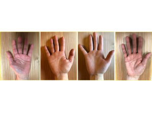 「さあ、誰に会いに行く?」鳥取県智頭町を舞台に研修を実施