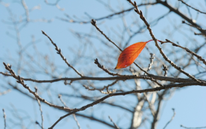 「死の疑似体験」から、自分にとって大切なものを考える。オンライン社内研修を実施