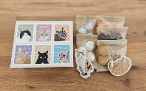 “猫の日”に障害者手づくりの『ねこモチーフのクッキーアソートBOX』を販売開始！